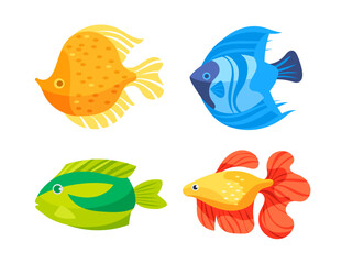 Aquarium fish set. Tropical fishes collection. Exotic sea creatures.