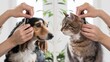 © starush - A cat and dog getting their hair groomed by a professional, AI
