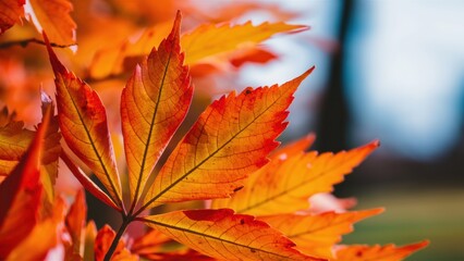 Wall Mural - A close up of a leaf with bright orange and yellow colors, AI