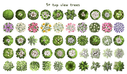 Trees for architectural floor plans. Entourage design. Various trees, bushes, and shrubs, top view for the landscape design plan. Vector illustration.