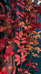 Wall Mural - A red leaves are on a tree next to some bricks, AI