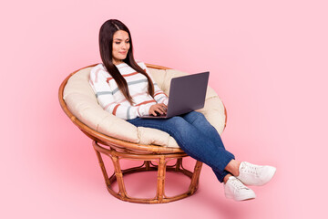 Poster - Photo of woman wearing jumper jeans spending time at cafeteria with internet and comfort using laptop isolated on pink color background