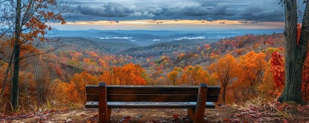 Wall Mural - Scenic autumn overlook with a bench