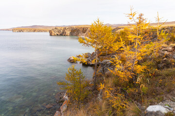 Wall Mural - baikal lake on october sunny day. coast of olkhon island. beautiful autumn landscape with yellowed l