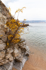Wall Mural - baikal lake in october. scenic landscape with yellowed bushes on steep cliffs of olkhon island on sa