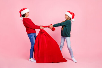 Poster - Photo of two kids pull tug red santa claus bag fighting isolated pastel color background