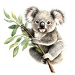 © Natthapong - Playful Koala in Watercolor: A charming koala bear clings to a eucalyptus branch, its soft fur and gentle eyes brought to life in vibrant watercolor.