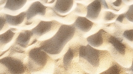 Wall Mural - fine beach sand texture with a sunny