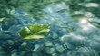 © AlfaSmart - A single green leaf floating on the surface of clear water