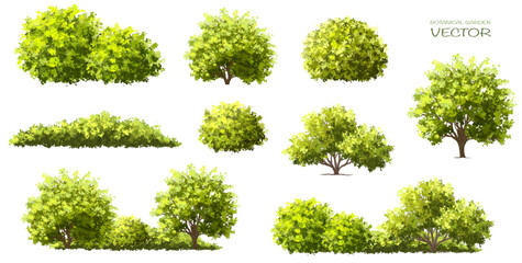 Wall Mural - vector watercolor green tree or forest side view isolated on white background for landscape and arch