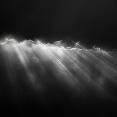 Canvas Print - The image is a black