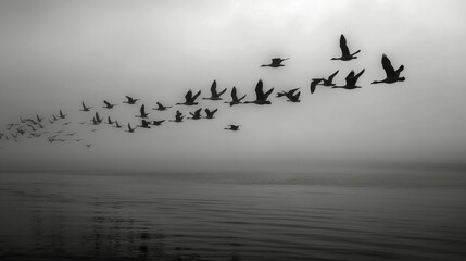 Canvas Print - Birds Flying Over Calm Water at Dusk Near Rocky Outcrop