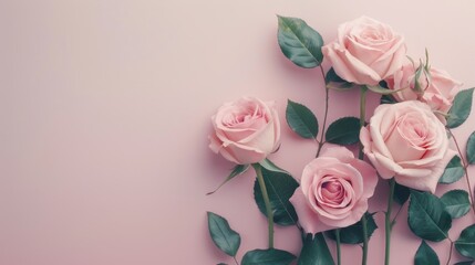 Sticker - Delicate Pink Roses Arranged Elegantly on Soft Pink Background