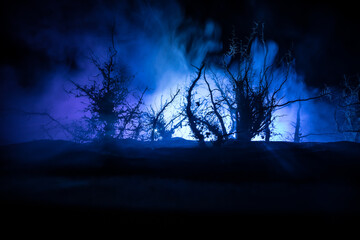 Wall Mural - spooky dark landscape showing silhouettes of trees in the swamp on misty night.
