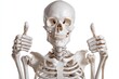 © DZMITRY - Halloween skeleton isolated on white background - Stock Photo