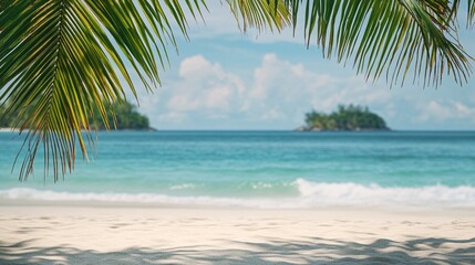 beautiful tropical beach with white, crystal clear blue, palm, background is an island, greenery. The sky, fluffy clouds in shades of light gray, navy, shows, up view through two leaves hanging