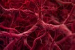 © Iftikhar alam - Intricate intertwining of veins and arteries in vivid red color, showcasing the inner workings of the circulatory system, Intricate intertwining of veins and arteries in shades of crimson