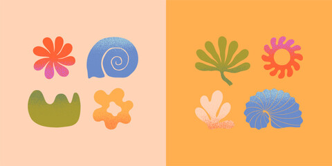 Wall Mural - vector abstract summer nature elements.hand drawn palm,organic form,sun,seashell,coral.modern graphi