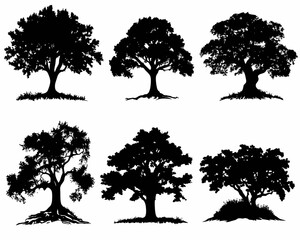 Wall Mural - set of silhouette clipart of a large oak tree, Big collection of tree silhouettes isolated