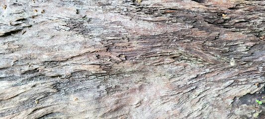 dark rustic wood with veins