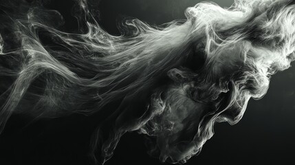 Wall Mural - Abstract smoky figure in black and white with flowing lines