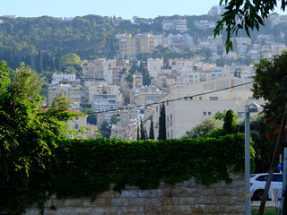 Lush greenery frames a scenic view of Haifa, Israel, showcasing residential buildings climbing up the hills, under a clear blue sky.