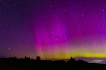 Wall Mural - northern lights purple sky at night, red sky