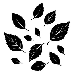 Wall Mural - black and white leaves