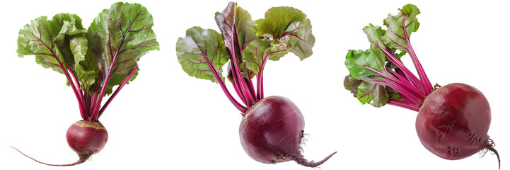 Untitled design - A set of Beetroot isolated on  transparent background