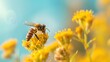 © zaen_studio - Honeybee on Yellow Flower