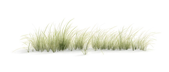 Elongated Patterns of Fine Thin Blades of Grass with Gentle Flow