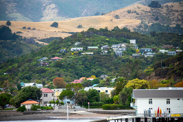 Wall Mural - Town of Akaroa - New Zealand