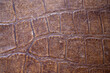 © JohnPaul - brown alligator skin texture