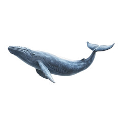 Photography of Majestic Blue Whale  Plain Transparent isolated png Background