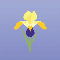 Poster - Colorful iris flower illustration