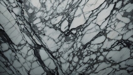 Wall Mural - Closeup of white marble with grey and black veins.