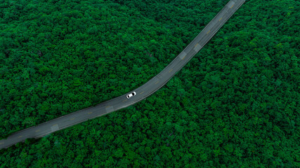 Wall Mural - Aerial view of dark green forest road and white electric car Natural landscape and elevated roads Adventure travel and transportation and environmental protection concept