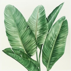 Wall Mural - art board filled with big green leaves, realistic but simple depiction