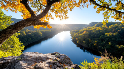 Wall Mural - Breathtaking Autumn View: River & Tree Canopy with Golden Sunlight