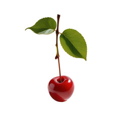 Wall Mural - cherry on a branch