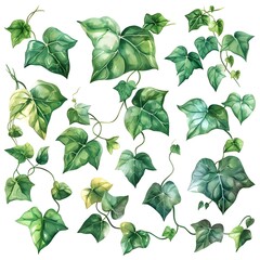 Canvas Print - Vibrant Watercolor Ivy Leaves Scattered on Pristine White Background for Elegant Botanical Concept