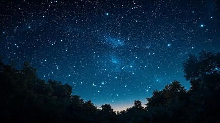 Wall Mural - Starry Night Sky over Silhouetted Trees.