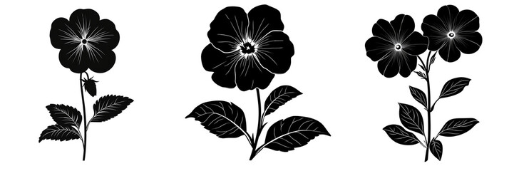 Set of Black silhouette of a sweet primrose flower with its soft isolated on a transparent background 