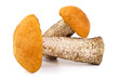 © GSDesign - ?spen mushroom, isolated on white background.