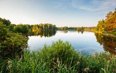 Wall Mural - A calm and quiet lake in the morning light surrounded by a forest. Small Polissya, Ukraine, Europe.