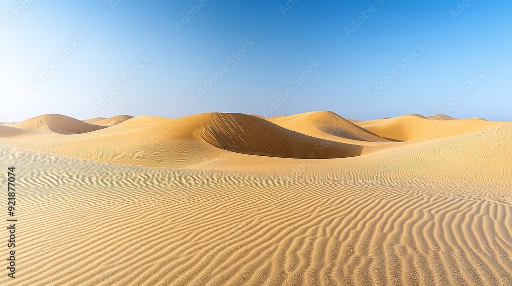 A breathtaking view of the Sahara vast, rolling sand dunes under a ...