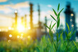 © GustavsMD - A vibrant green plant grows near an industrial facility, with the morning sun rising in the background, symbolizing the balance between nature and industry.