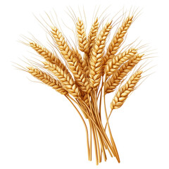 Golden wheat stalks isolated on transparent background, showcasing natural grain close-up details.

