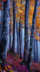 Wall Mural - Fog standing in autumnal forest with colorful foliage