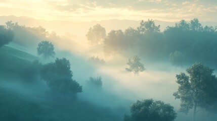 Wall Mural - Foggy morning sunlight illuminating rolling hills and trees